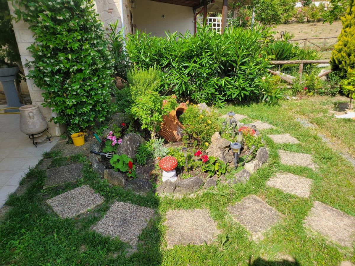 Villa Lena Pefkochori Παλιούρι Εξωτερικό φωτογραφία
